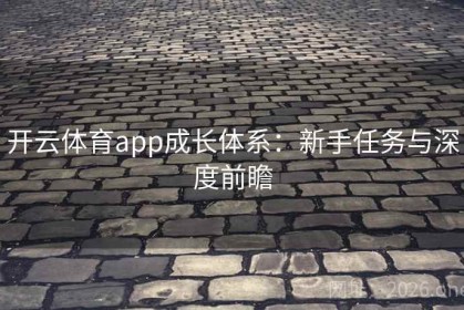 开云体育app成长体系：新手任务与深度前瞻