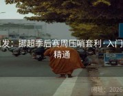 凯发：挪超季后赛周压哨套利·入门到精通