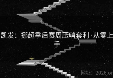 凯发：挪超季后赛周压哨套利·从零上手