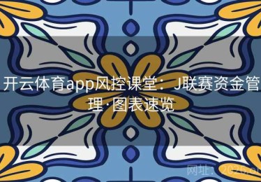 开云体育app风控课堂：J联赛资金管理·图表速览