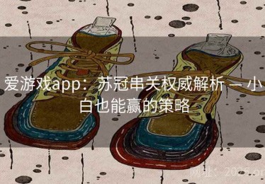 爱游戏app：苏冠串关权威解析 — 小白也能赢的策略