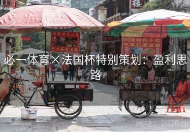 必一体育×法国杯特别策划：盈利思路