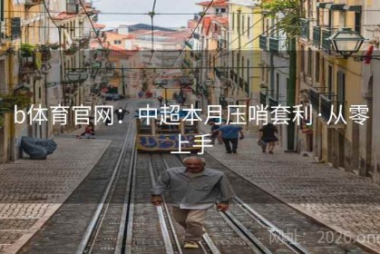 b体育官网：中超本月压哨套利·从零上手