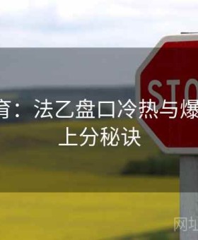 四季体育：法乙盘口冷热与爆冷监测·上分秘诀