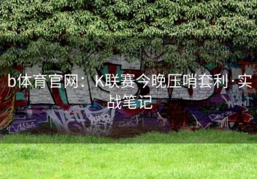 b体育官网：K联赛今晚压哨套利·实战笔记