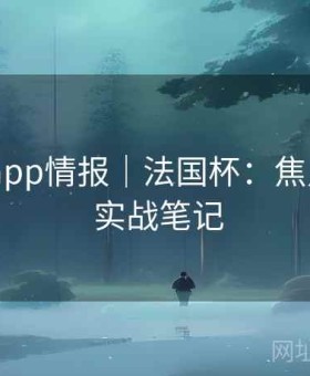 金年会app情报｜法国杯：焦点球员 · 实战笔记