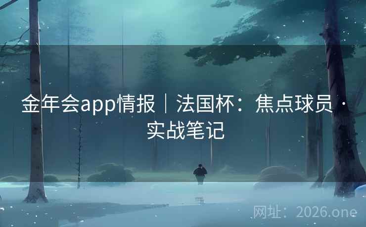 金年会app情报｜法国杯：焦点球员 · 实战笔记