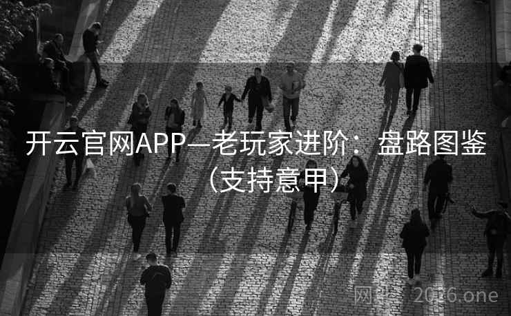 开云官网APP—老玩家进阶：盘路图鉴（支持意甲）